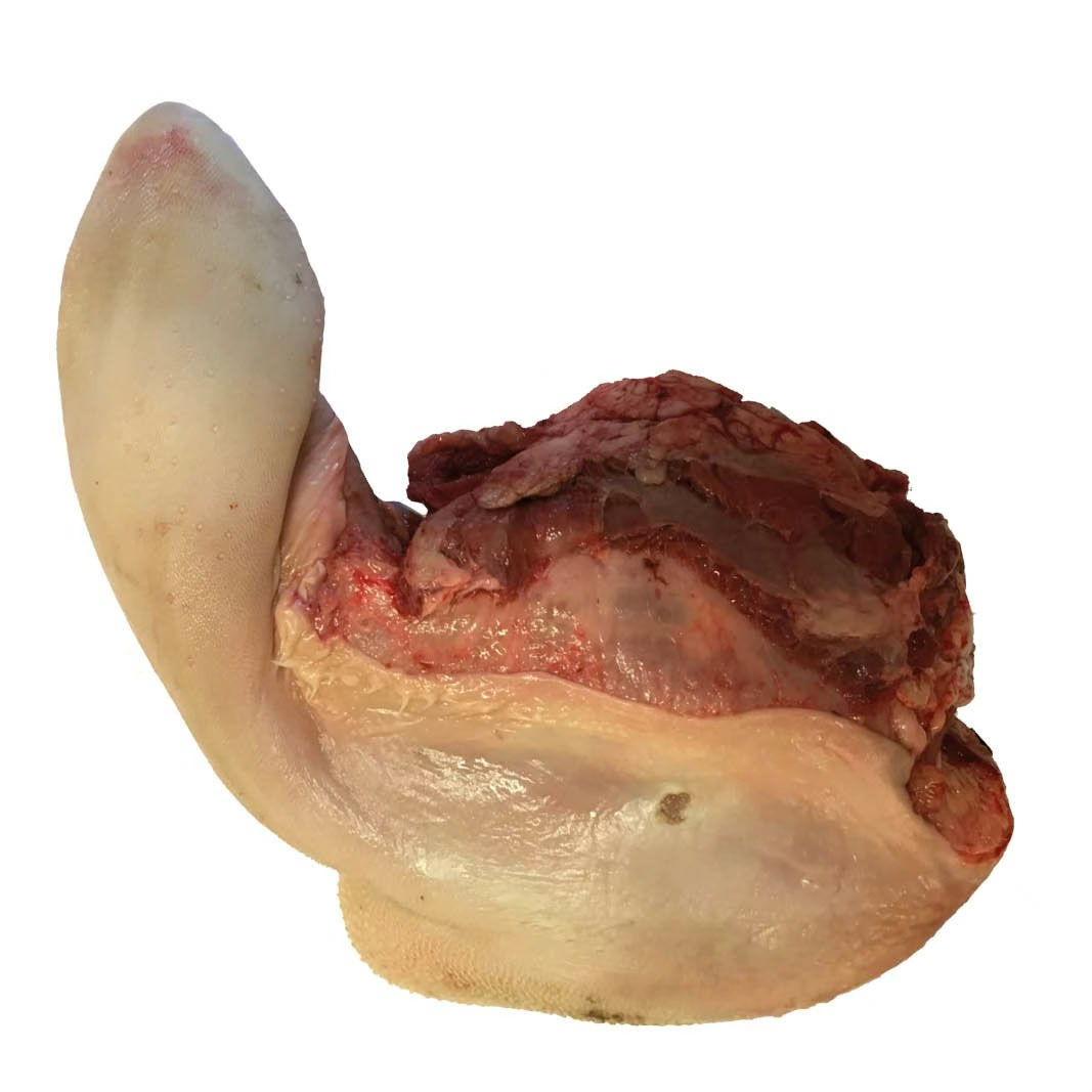 Runder tong - 17 runder tong 1x1 new - 17