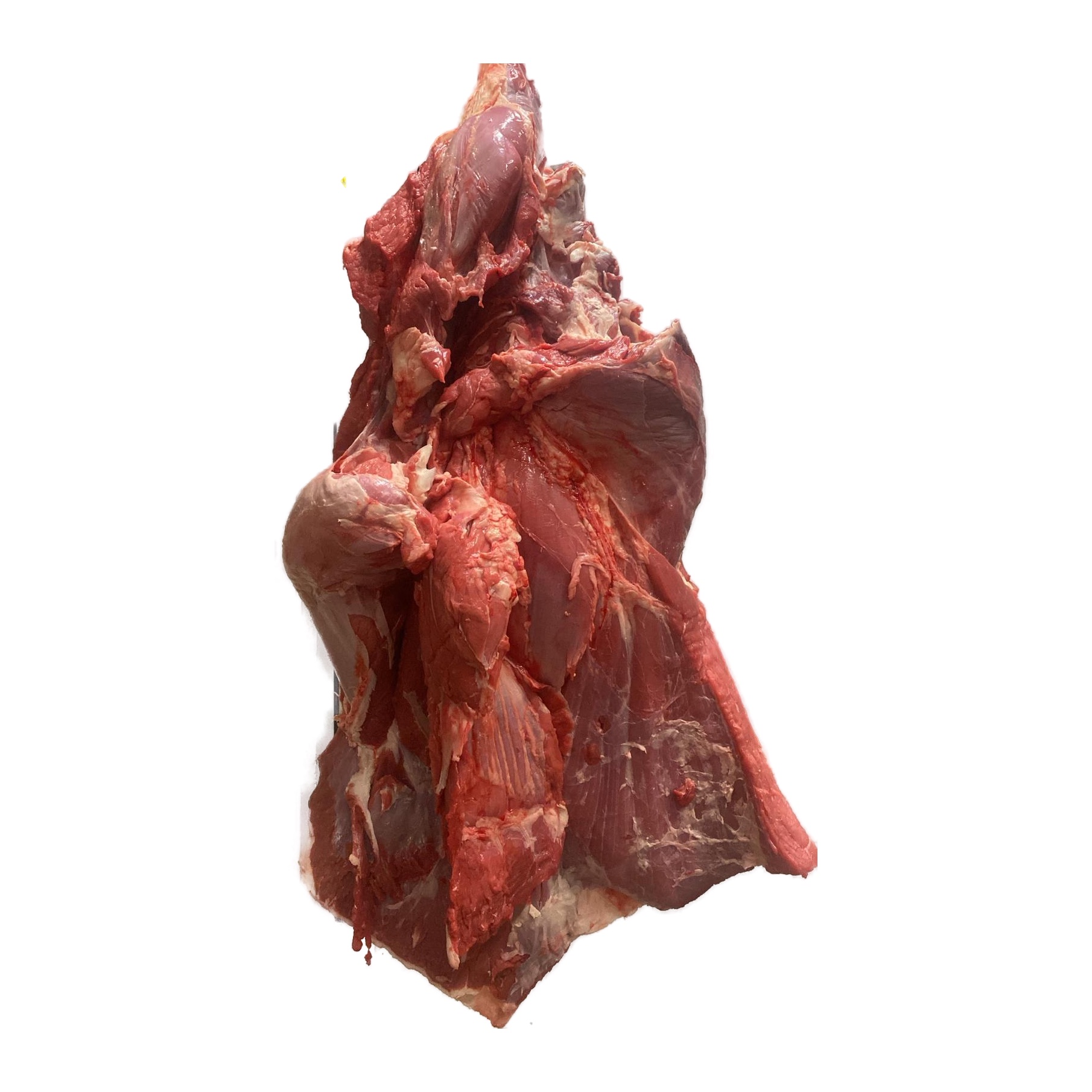 Kalfs schouder zonder been - 28 kalfs schouder zonder been 1x1 - 28