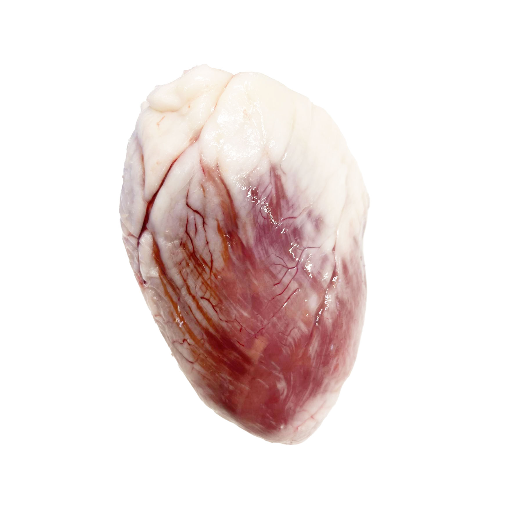 Lams hart - Hs lamshart square - 40