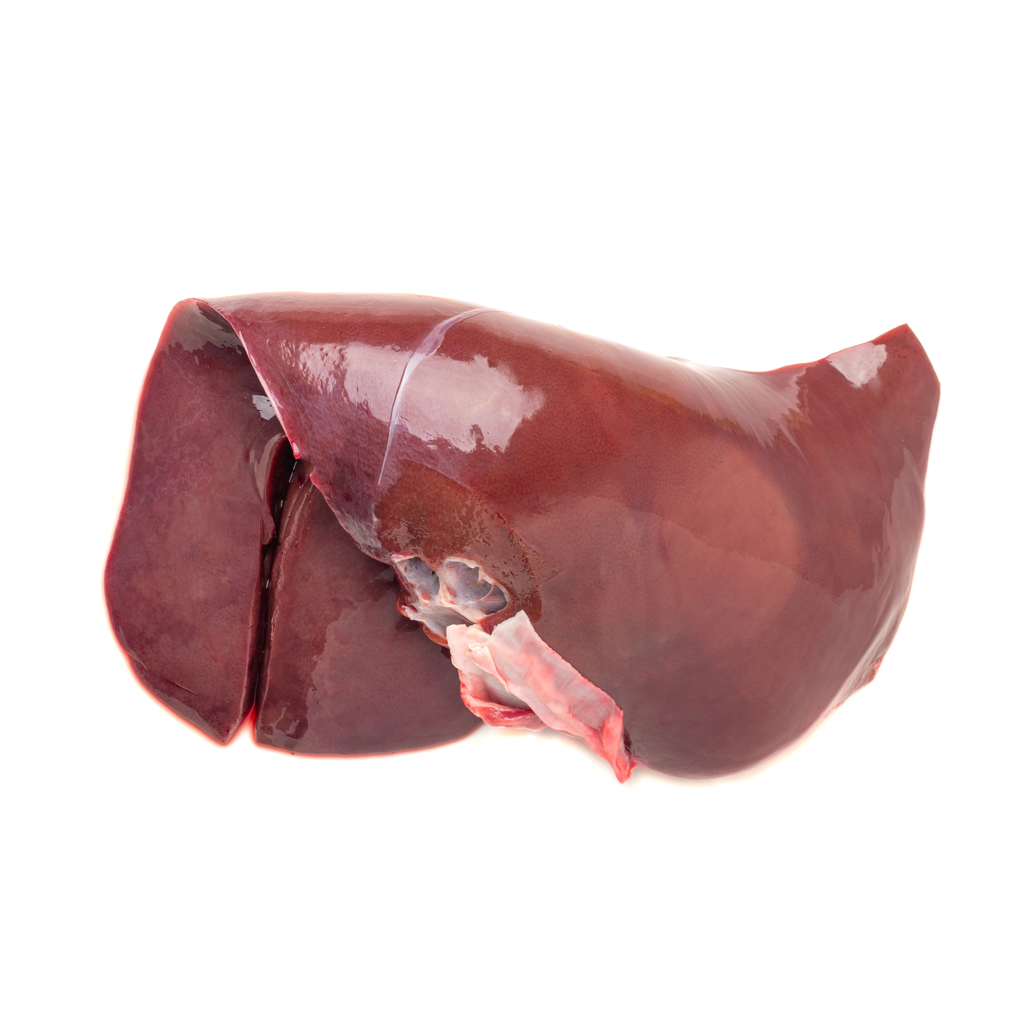 Lams lever - Lams lever square - 71