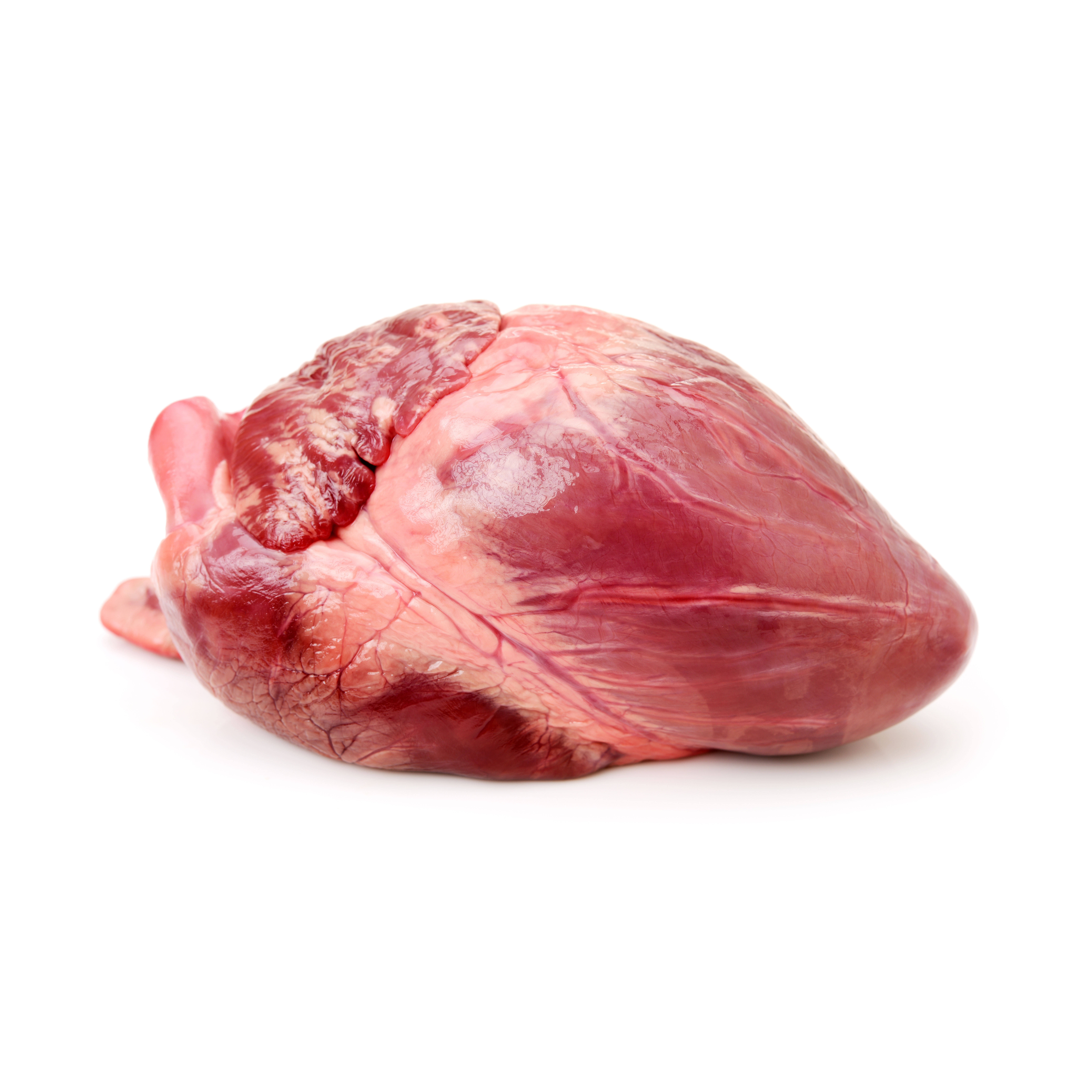 Runder hart/nieren - Runderhart square - 18