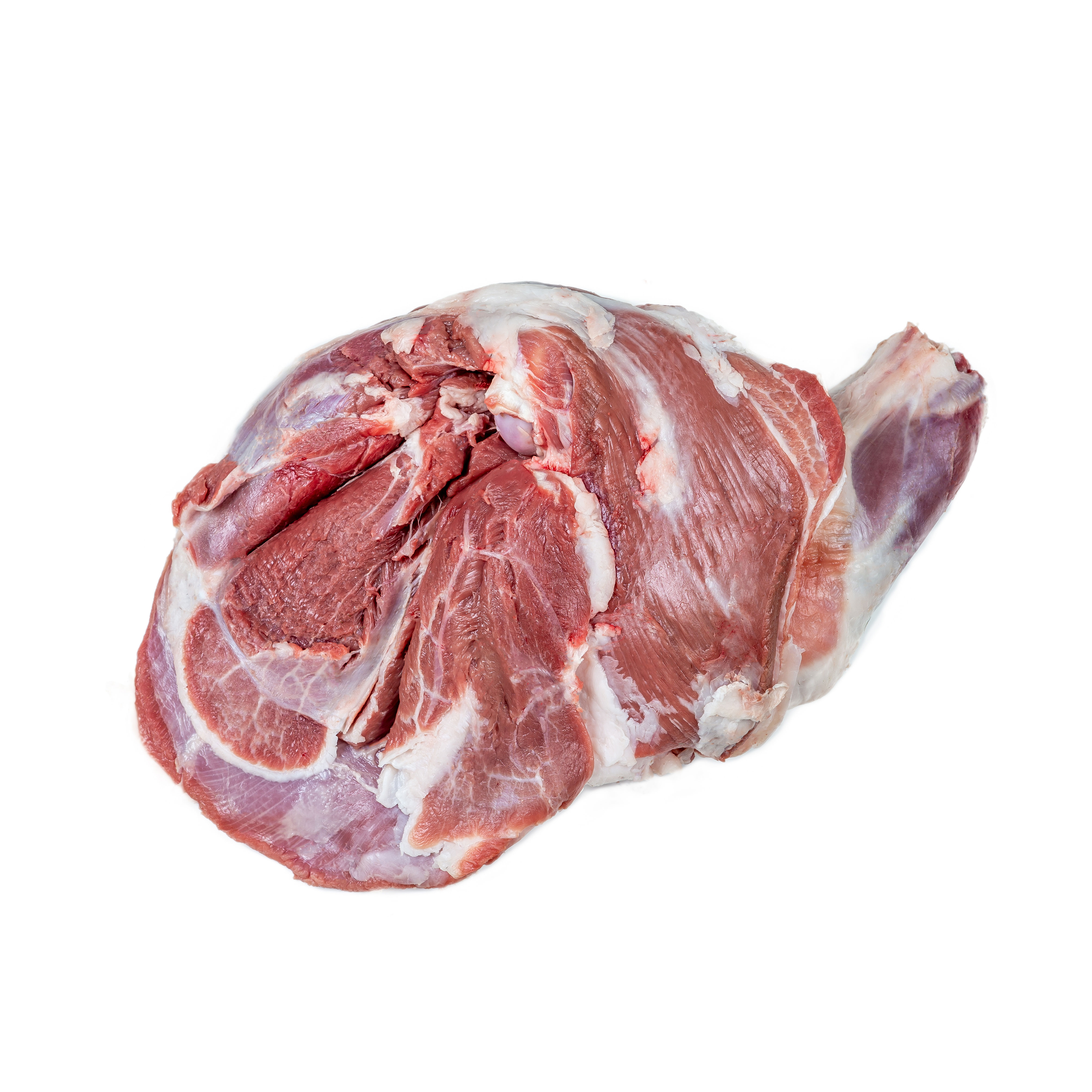 Lams schouder zonder been - Schouder zonder been square - 32