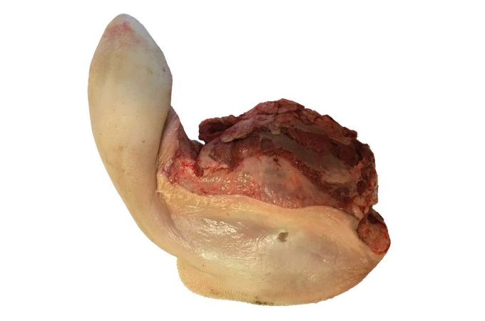 Runder tong - 17 runder tong 6x4 new - 17