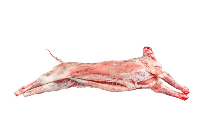 Geiten hele of halve - middelgroot - Half heel geit 6x4 1 - 266