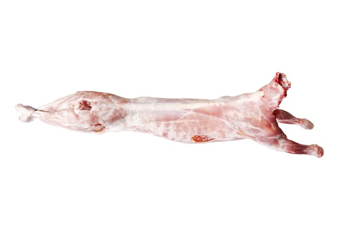 Geiten - kleine bokjes - Jongegeit boklam huseyin 6x4 1 - 273