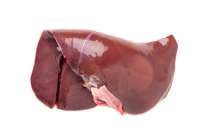 Kalfs lever - Kalfslever 6x4 - 27