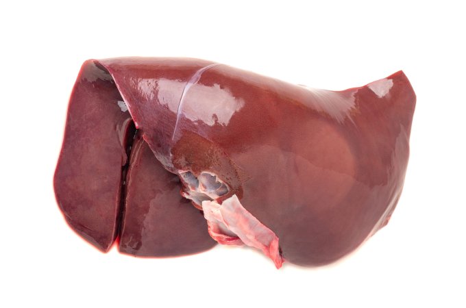 Lams lever - Lams lever 6x4 - 71