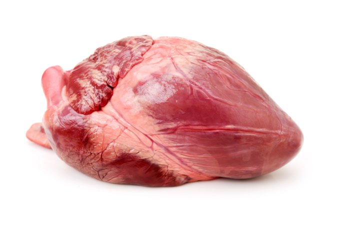 Runder hart/nieren - Runderhart 6x4 - 18